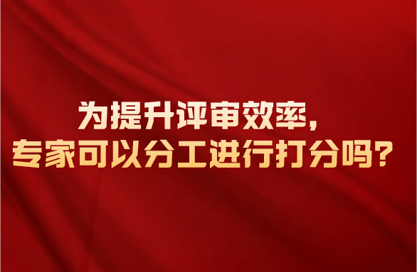 为提升评审效率，专家可以分工进行打分吗？