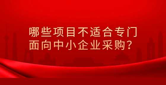 哪些项目不适合专门面向中小企业采购？