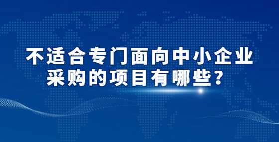 不适合专门面向中小企业采购的项目有哪些？