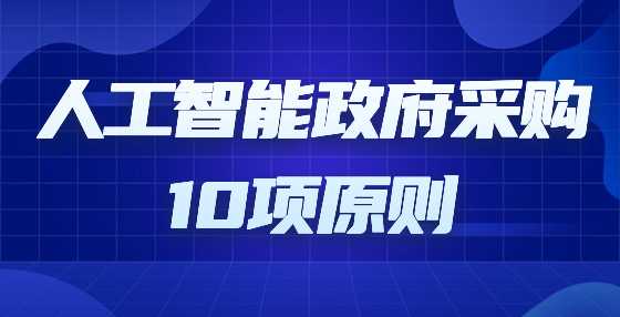 人工智能政府采购10项原则