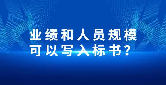 业绩和人员规模可以写入标书？