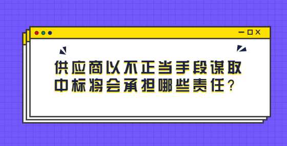 供应商以不正当手段谋取中标将会承担哪些责任？