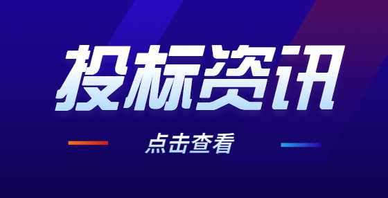 总公司中标后，可以授权给分公司来完成该项目吗？