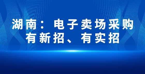 湖南：电子卖场采购有新招、有实招