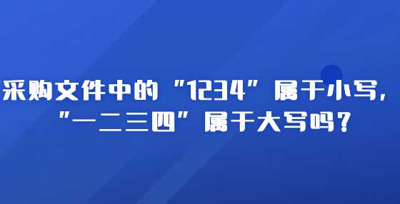 采购文件中的“1234”属于小写，“一二三四”属于大写吗？