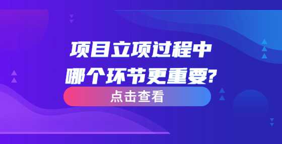 项目立项过程中哪个环节更重要?