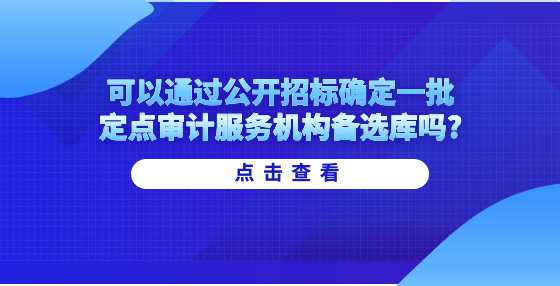 可以通过公开招标确定一批定点审计服务机构备选库吗?