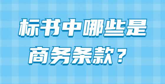 标书中哪些是商务条款？