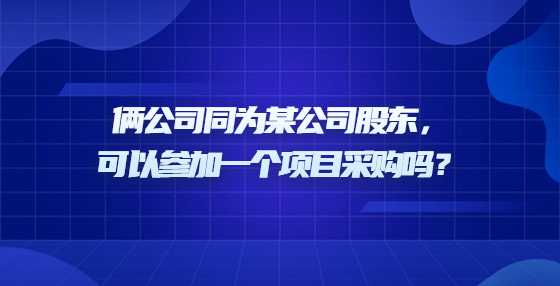 俩公司同为某公司股东，可以参加一个项目采购吗？