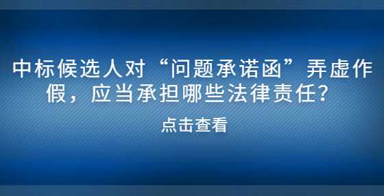 中标候选人对“问题承诺函”弄虚作假，应当承担哪些法律责任？