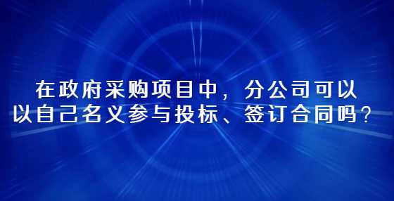 在政府采购项目中，分公司可以以自己名义参与