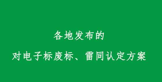 各地发布的对电子标废标、雷同认定方案