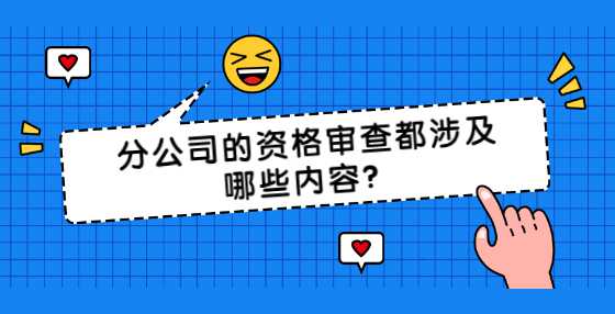 分公司的资格审查都涉及哪些内容？