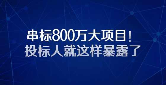 串标800万大项目！