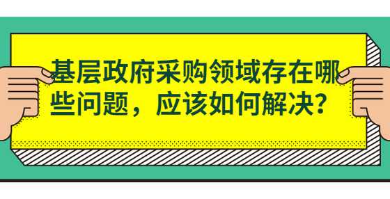 基层政府采购领域存在哪些问题，应该如何解决？