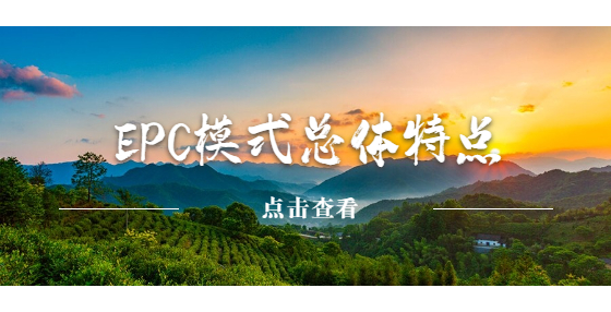 EPC模式总体特点