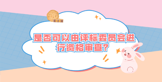 是否可以由评标委员会进行资格审查？